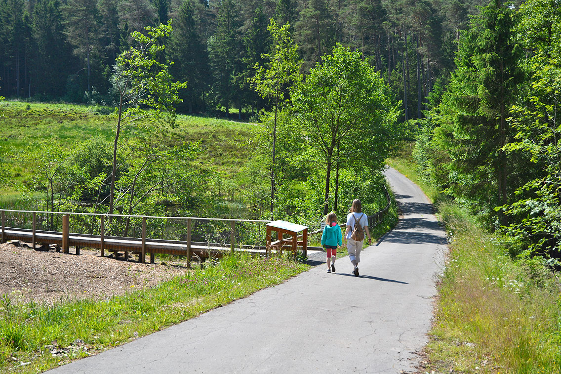 Moorpfad Dahlem Eifel