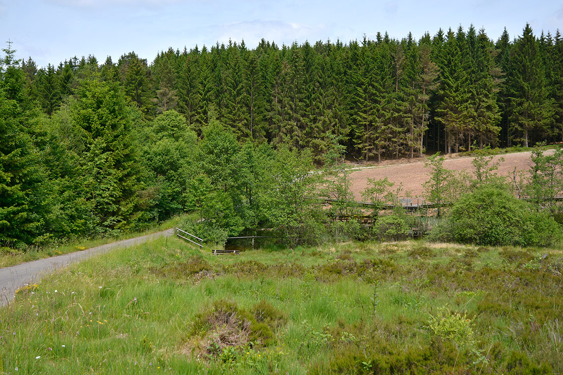 Moorpfad Dahlem Eifel