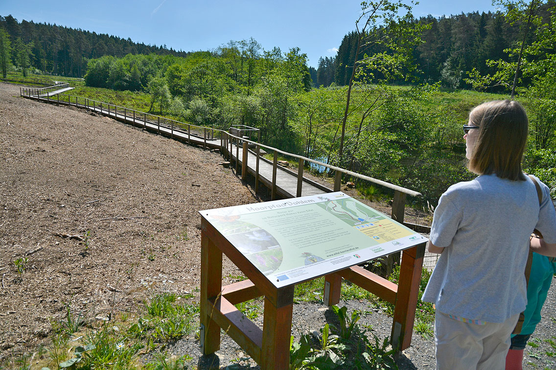 Moorpfad Dahlem Eifel