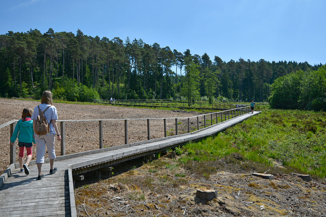 Moorpfad Dahlem Eifel