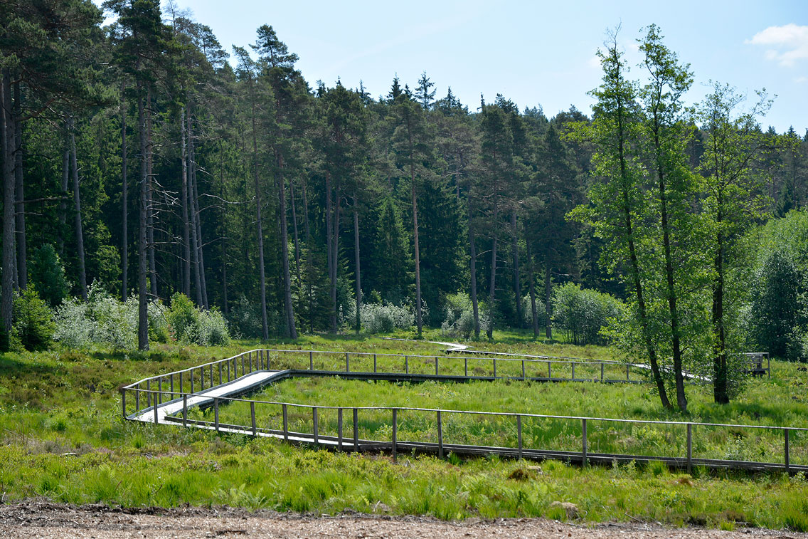 Moorpfad Dahlem Eifel