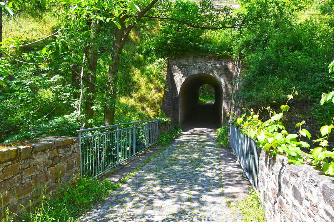 Naturschutzgebiet Ellerbachtal mit dem Ellerbach bei Ediger-Eller