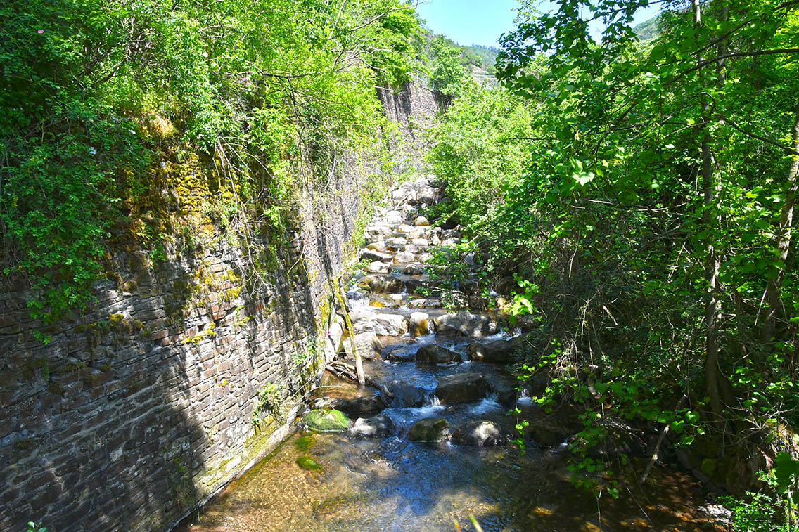 Naturschutzgebiet Ellerbachtal mit dem Ellerbach bei Ediger-Eller