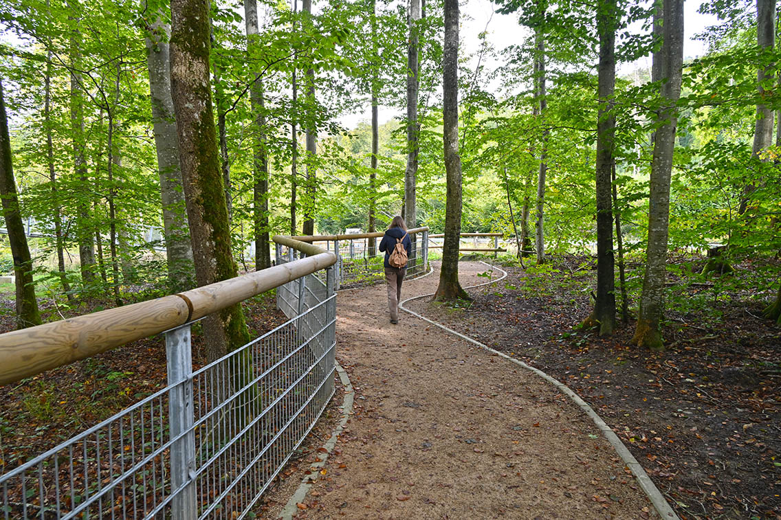 Irreler Wasserfälle Eifel