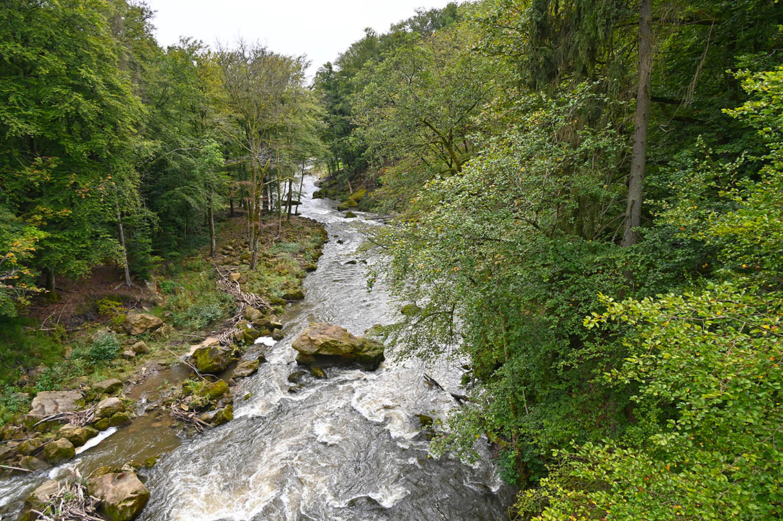 Irreler Wasserfälle Eifel