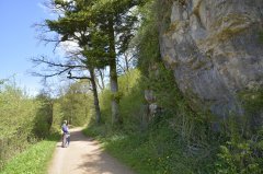 bolsdorf_ARN8683.jpg