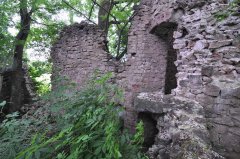 Mirbach-Ruine.jpg