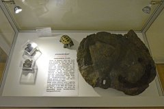 maarmuseum8.jpg