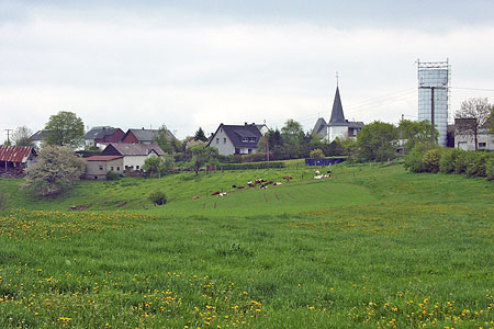 Grosslangenfeld-e